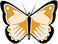 [butterfly]
