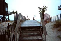 [Image: Link to Fire isl. pic]