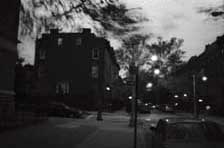 [IMAGE: Henry St. at dusk and wind]