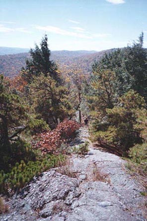 [Image: No. 1, hiking up the ridge]