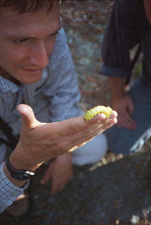 [IMAGE: no. 10, entranced by a bug]