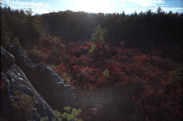 [IMAGE: no. 11, a valley below the ridgeline. lens flare.]