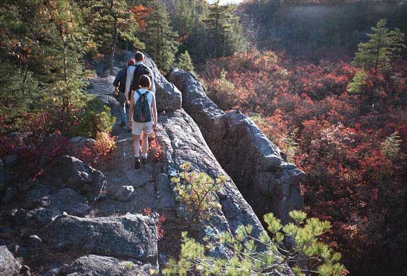 [IMAGE: No. 12: hiking back down.]