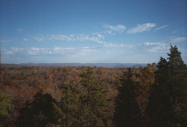 [Image: no. 8, yet another view.]