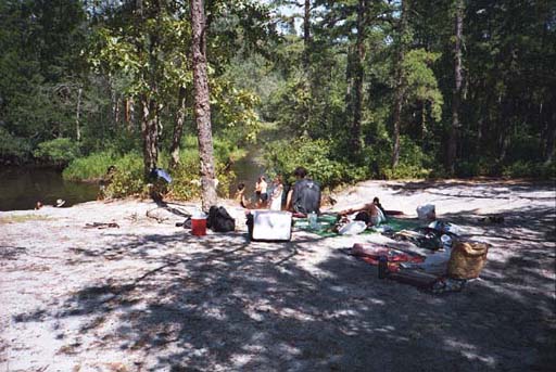 [IMAGE: end of 2nd lunch]