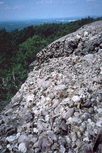 [IMAGE: Schunemunk Conglomerate]