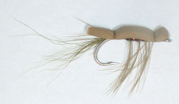 Grass Shrimp GP