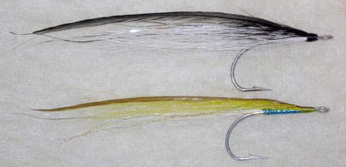 silversides