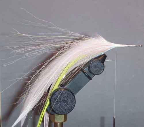 step 6