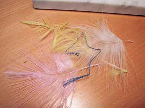step 6