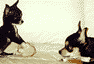 Bessie and Chasqui