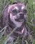 Bruno