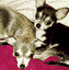 Mixha and Chasqui