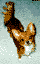 More Rocko