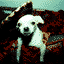 Toby