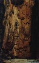1.birchtrunk
