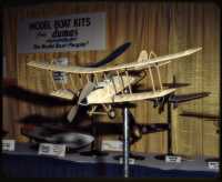 [Standard J-1 Model]