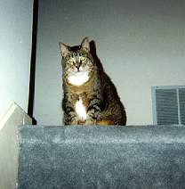 [Photo of Ivan, 1988-1999]