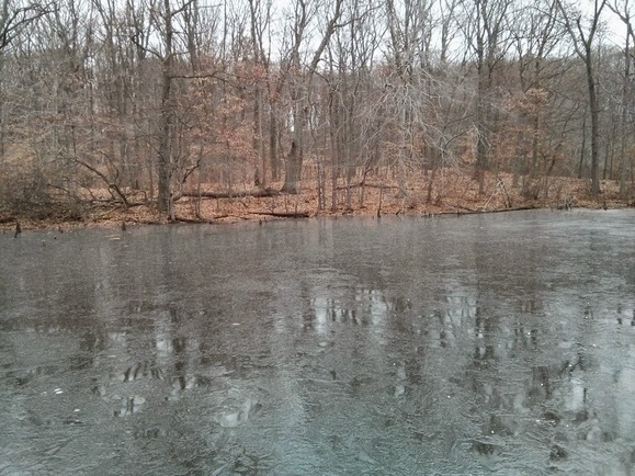 Pump House Pond