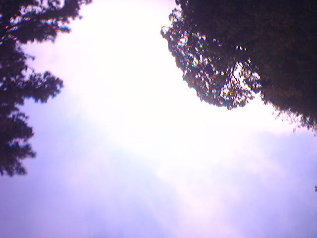 first-bike-ride-ever