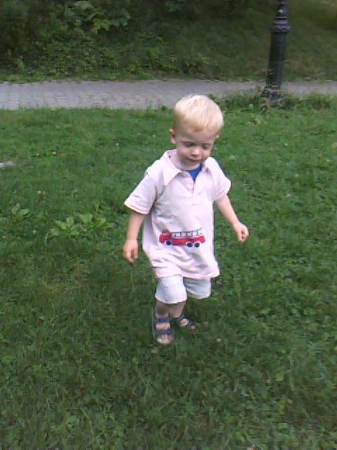 ice-cream-and-firetrucks