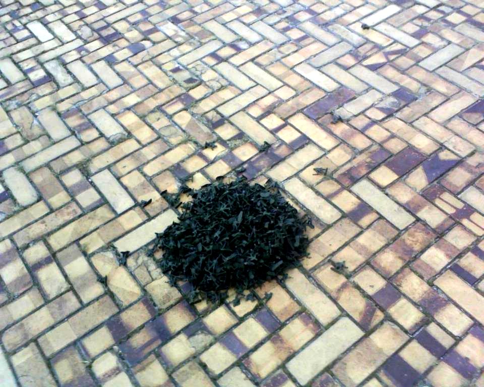 grand-army-men-plaza