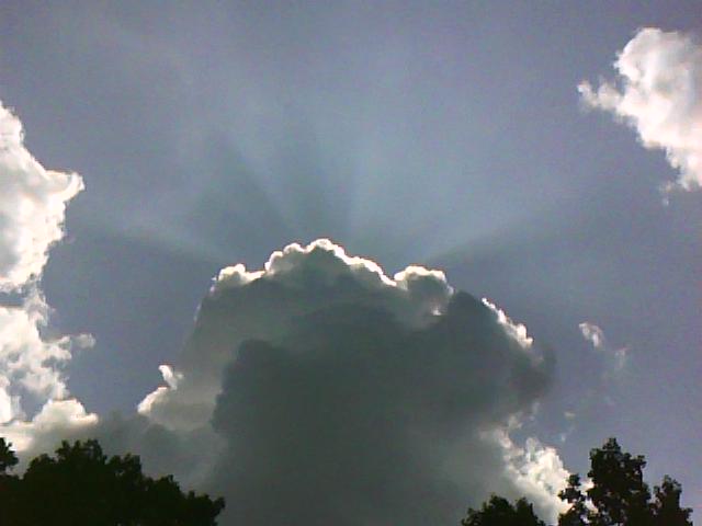 is-that-dinosaur-smoke