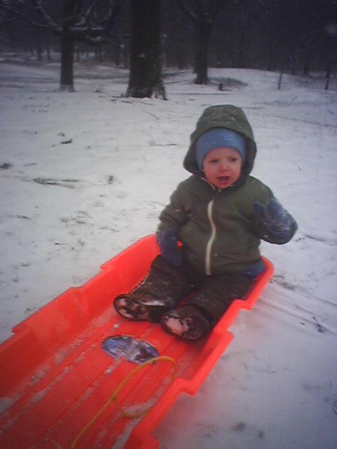 more-sledding-please