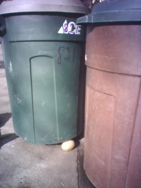 trash-can-on-potato