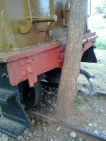 tree nestled against railcar