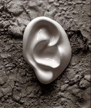 listening wall - photogram/ideogram/image