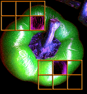 Strange Pepper Framed - photogram/ideogram/image