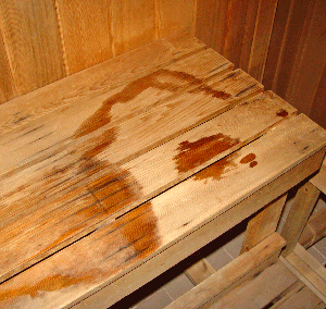 sauna