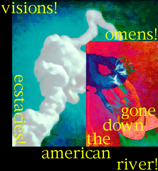 for Allen Ginsburg/Walt Whitman's butterfly - photogram/ideogram/image