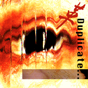 Duplicate...and wait - photogram/ideogram/image