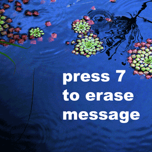 press 7 to erase message