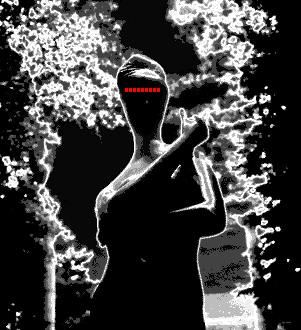 Sculpture Seeing Sound - Move/Don't Move - photogram/ideogram/image