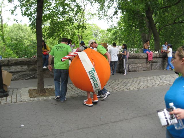 Orange You Glad I Didn't  Say 