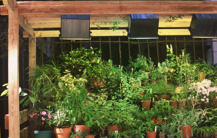 Grow lights for outdoor plants hotsell