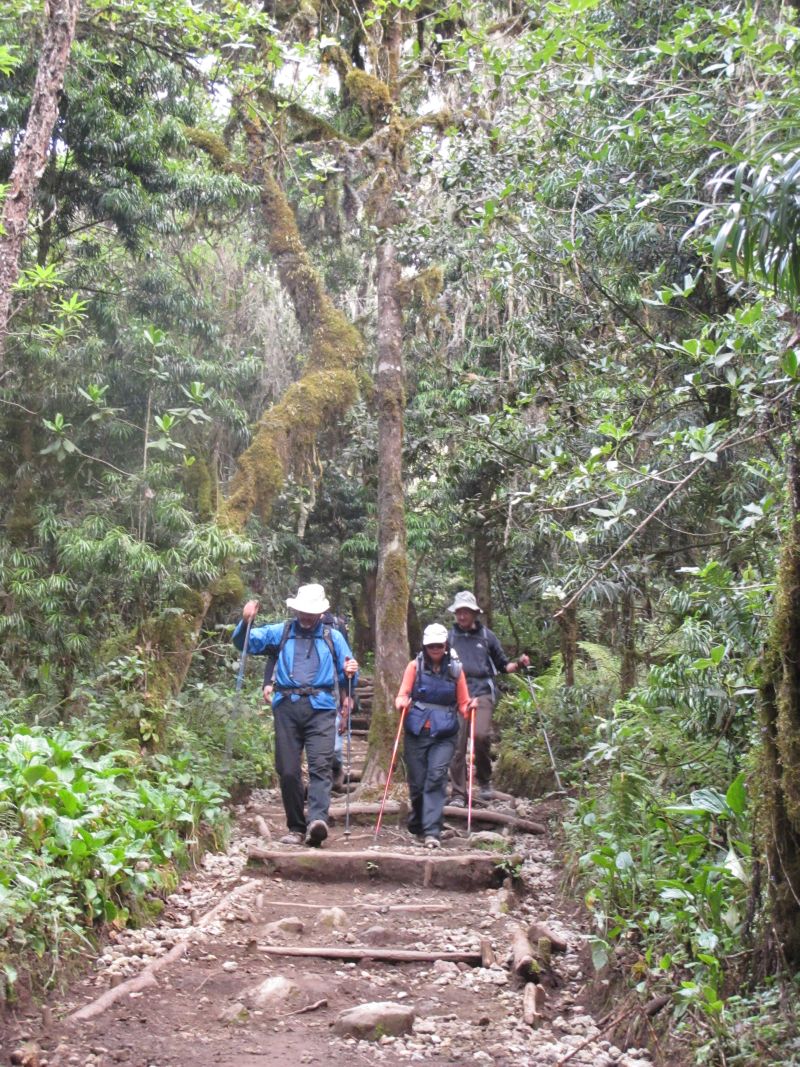 JD, Gloria and Gareth on a fairly typical trail section