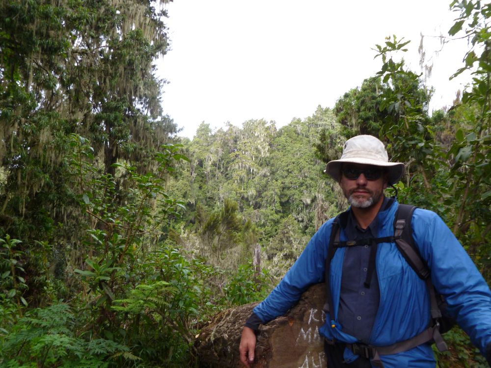 JD in rainforest