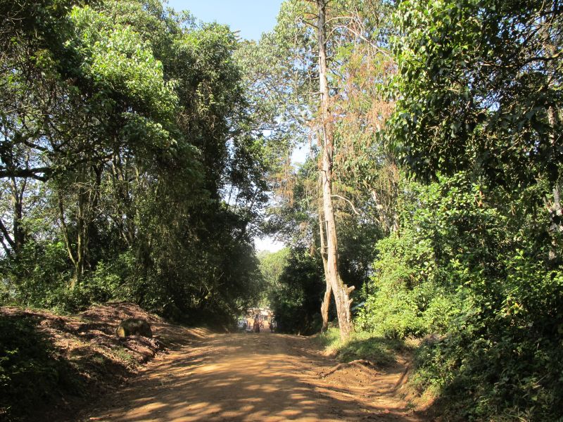 First glimpse of Mweka Gate
