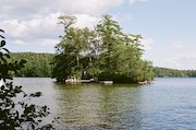 Pine Tree Island