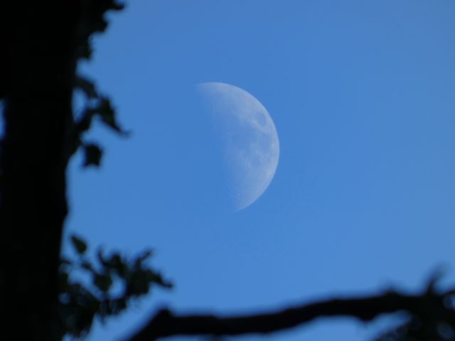 Moon again