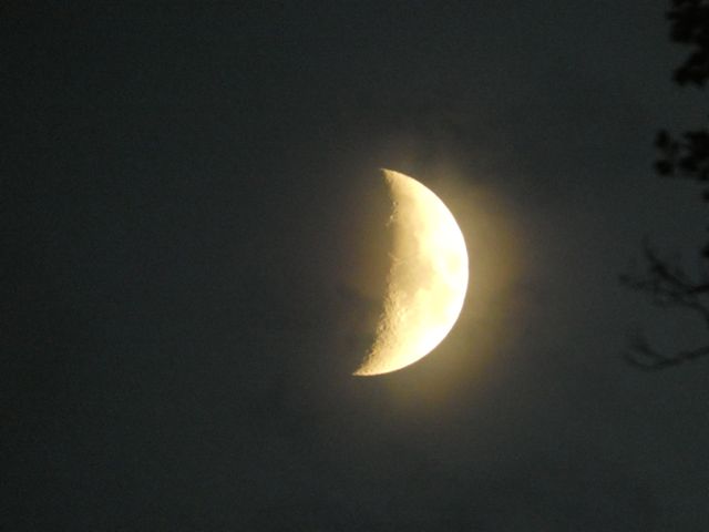 Quarter moon