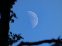 Moon again
