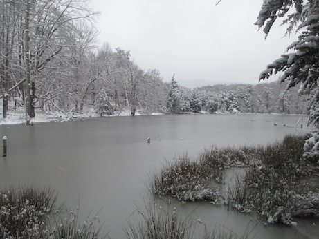 Pond Jan 31 2021