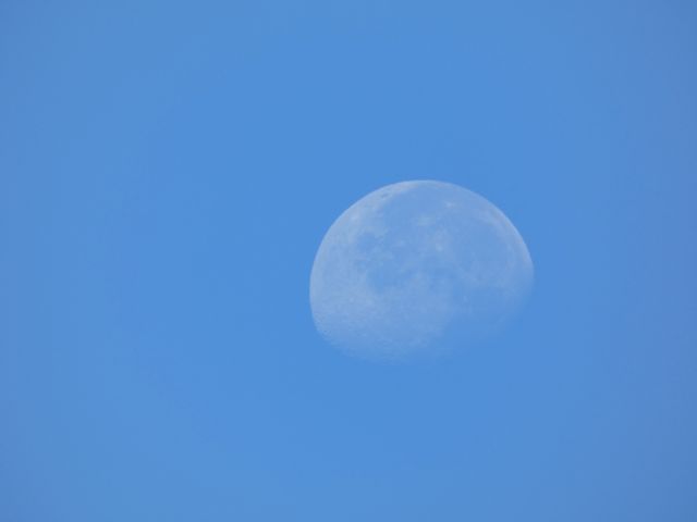 Waxing Gibbous Moon