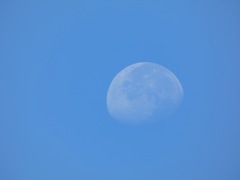 Waxing Gibbous Moon