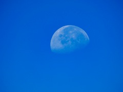 Waxing_Gibbous_Moon_Sep_12